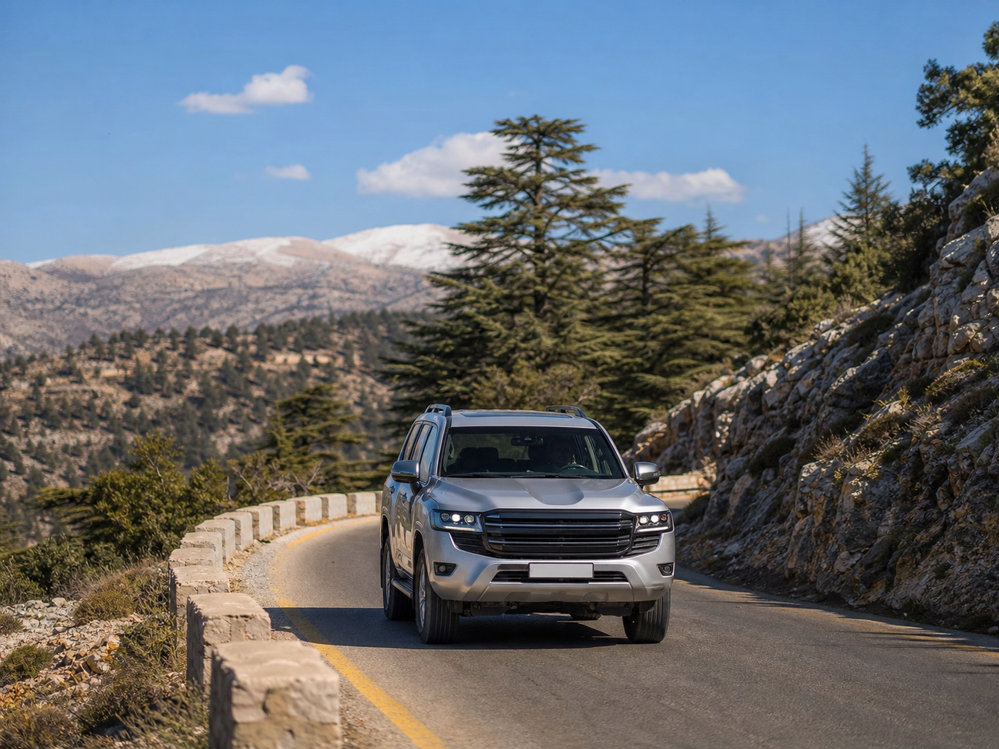 Custom Motorhaus mountain vehicle opportunity visual